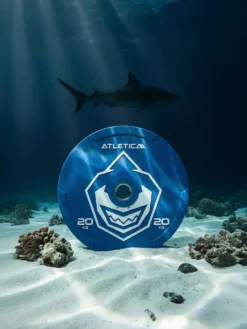 Animal Bumper Plates | Paar