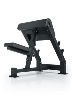 Preacher Curl I Bizepsbank