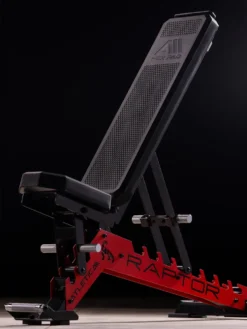 Raptor | verstellbare Hantelbank