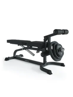 X-Bench Hantelbank